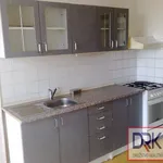 Rent 4 bedroom apartment of 92 m² in Prague