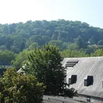 Rent 2 bedroom apartment of 40 m² in NAMUR