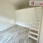 Rent 2 bedroom apartment of 40 m² in Praha