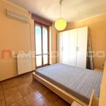 Rent 2 bedroom apartment of 60 m² in Foggia