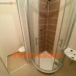 Rent 2 bedroom apartment of 39 m² in Ostrava