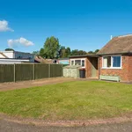 Rent 4 bedroom house in Canterbury