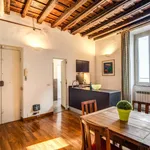 Rent 3 bedroom apartment of 70 m² in Roma