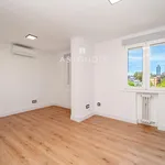 Rent 1 bedroom house in Madrid