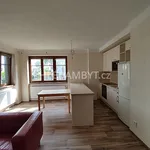 Rent 3 bedroom apartment of 63 m² in Capital City of Prague