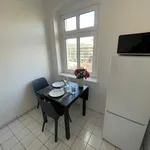 Rent 2 bedroom apartment of 40 m² in Berlin