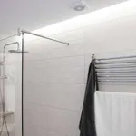 Rent 1 bedroom apartment in madrid