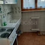 Appartamento in affitto a Bardonecchia viale San Francesco, arredato, terrazzo, semicentrale - TrovaCasa