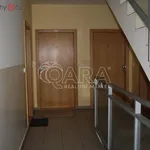 Rent 3 bedroom apartment of 66 m² in Praha