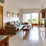 Rent 4 bedroom apartment in Barcelona