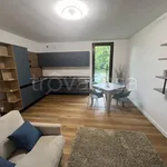 Rent 2 bedroom apartment of 60 m² in Sesto Calende