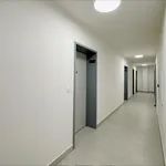 Rent 1 bedroom apartment of 38 m² in České Budějovice