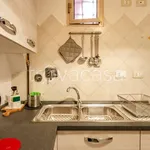 Rent 1 bedroom apartment of 30 m² in Bologna