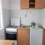 Rent 1 bedroom apartment of 28 m² in Timișoara