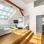 Rent 3 bedroom apartment of 105 m² in Praha