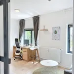  appartement avec 1 chambre(s) en location à Leuven