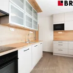 Rent 3 bedroom apartment in Brno