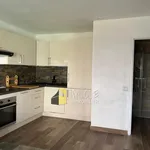 Appartement de 23 m² avec 1 chambre(s) en location à Saint