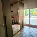 Rent 2 bedroom apartment of 100 m² in modena