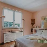 Rent 3 bedroom apartment of 150 m² in Prague