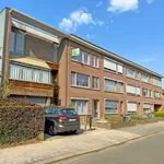 Rent 2 bedroom apartment in Wijnegem