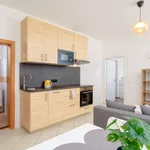 Rent 1 bedroom apartment in Prague