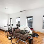 Rent 1 bedroom apartment of 64 m² in New York City