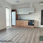 Rent 2 bedroom apartment of 44 m² in Zbiroh