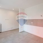 Porzione di casa in Affitto Viadana 33631032-78 | RE/MAX Italia