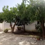 Rent 2 bedroom house of 100 m² in Villaricca