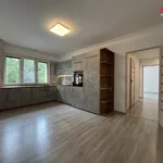 Pronájem bytu 3+kk 56m²