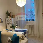 Rent 3 bedroom apartment of 85 m² in Bologna