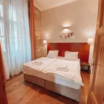 Rent 1 bedroom apartment of 53 m² in Prague