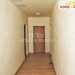 Rent 1 bedroom apartment in Chodov