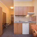 Rent 1 bedroom apartment in Prague