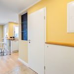 Rent 1 bedroom apartment of 33 m² in München