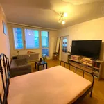 Rent 1 bedroom apartment of 1 m² in Brno