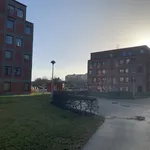 Rent 3 bedroom apartment of 75 m² in Höganäs