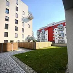 Rent 3 bedroom apartment in Olomouc