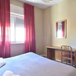 Rent a room of 190 m² in rome