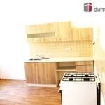 Rent 2 bedroom apartment in Pilsen