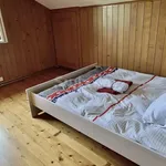 Miete 5 Schlafzimmer haus von 120 m² in Gland