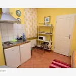 Rent 1 bedroom house of 35 m² in Bonn