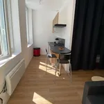 Rent 1 bedroom apartment of 24 m² in Saint-Étienne