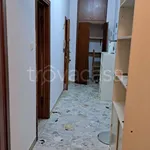 Rent 4 bedroom apartment of 90 m² in Bologna