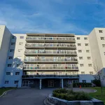 Rent 1 bedroom apartment in Kingston