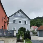 Rent 3 bedroom apartment of 100 m² in Ústí nad Labem