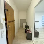 Rent 2 bedroom apartment of 45 m² in Ostrava