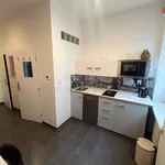 Rent 1 bedroom apartment of 45 m² in Ostrava