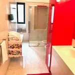 Appartamento arredato con terrazzo Centro